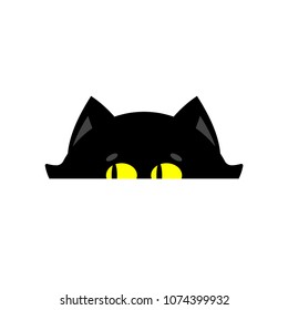 Cat peeking isolated. Home pet looks out 
