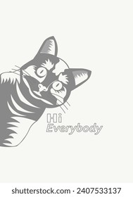 Cat peeking isolated on white background. Cute cat peeking. Hi everybody.