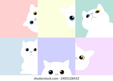 Cat peeking out of corner set vector. Collection funny Cats Hiding. Cat Hide and Seek.