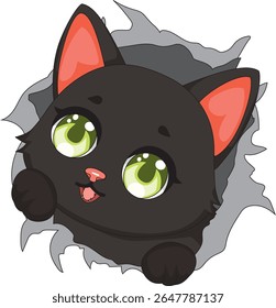 Gato Espiando Para Fora Da Parede Kitty Curiosity Vetor