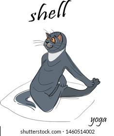 Cat performs yoga pose Shell.