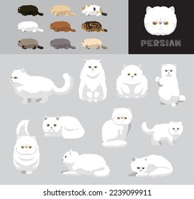 Cat Persian Cartoon Vector Illustration Color Variation Set