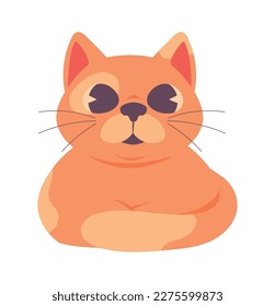 cat pet animal icon isolated