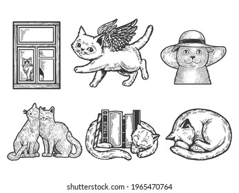 Cat pet animal set sketch engraving vector illustration. T-shirt apparel print design. Scratch board imitation. Black and white hand drawn image.