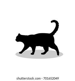 Cat pet black silhouette animal. Vector Illustrator.