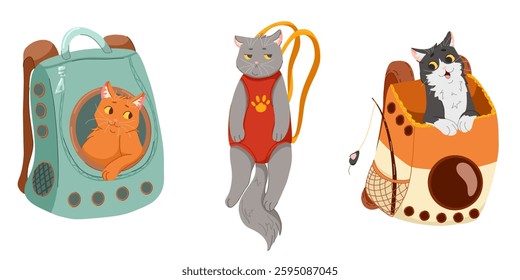 Cat in a pet carrier vector set. Collection of hand drawn cartoon illustrations for stickers, web, cards, social media. Cute pet characters. Cat day. Travel with animals