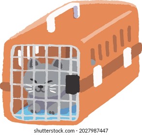 Cat in a pet carry case