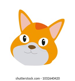 Cat pet cartoon