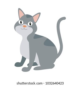 Cat pet cartoon