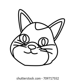 Cat pet cartoon