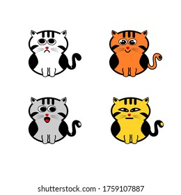 cat, pet, color, fun, cute
