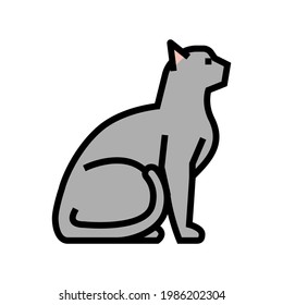 cat pet color icon vector. cat pet sign. isolated symbol illustration