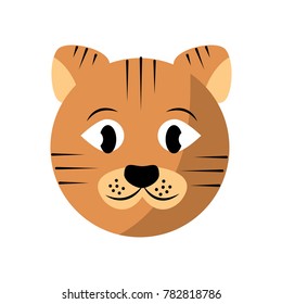 cat pet head cute animal