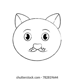 cat pet head cute animal