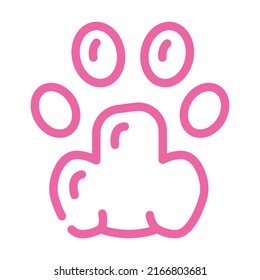 cat pet hoof print color icon vector. cat pet hoof print sign. isolated symbol illustration