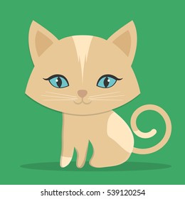 cat pet icon image vector illustration design 