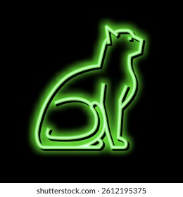 cat pet neon light sign vector. cat pet illustration