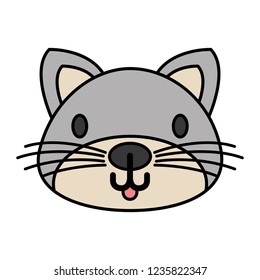 cat pet on white background