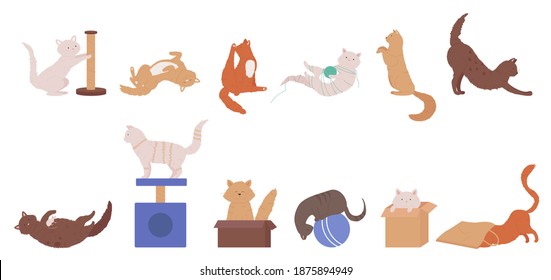 Cat pet plays vector illustration set. Cartoon adorable cute animal characters action collection of playing with ball, sitting in box, sleeping fluffy kitty cats in different poses isolated on white