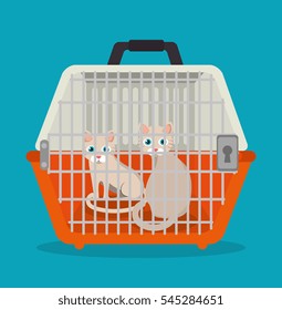 cat pet shop icon