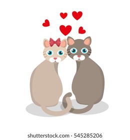 cat pet shop icon