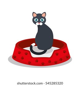 cat pet shop icon
