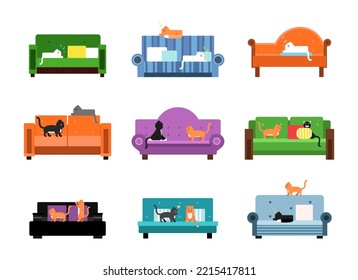 Cat Pet Sitting and Lying on Sofa or Couch Living in Cozy Apartment Vector Set