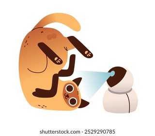 Cat with a pet surveillance camera. Flat illustration of cat and technology.