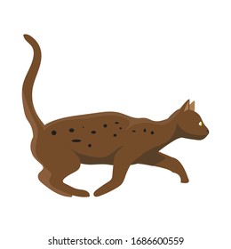 Cat pet vector ready to use for web design.