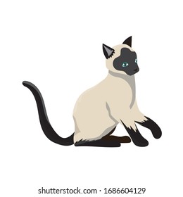Cat pet vector ready to use for web design.