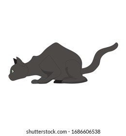 vector de mascota de gato listo para usar para el diseño web.