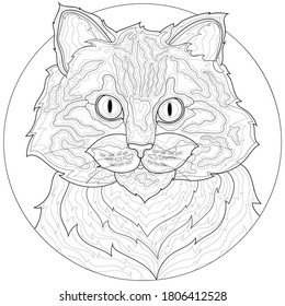 
Cat.
Pet.Coloring book antistress for children and adults. Illustration isolated on white background.Zen-tangle style.