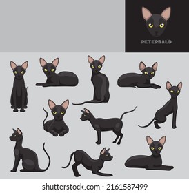 Cat Peterbald Cartoon Vector Illustration Color Variation Set