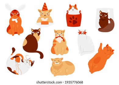 Cat pets and cute kittens in different poses vector illustration set. Cartoon lazy fat kitty character playing, sitting in box or sleeping, funny hungry cat pet eating sausage isolated on white