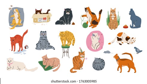 Juego de ilustraciones vectoriales de mascotas de gato. Gatitos con diferentes emociones durmiendo, jugando, estirando, escondiéndose en la caja, lavándose. Bonitas gatitos aislados de fondo blanco en un estilo sencillo y plano.