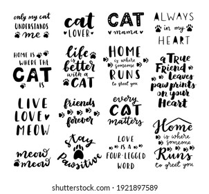 Cat phrase black and white poster. Inspirational quotes about cat, and domestical pets. Hand written phrases for poster, cat adoption lettering. Adopt a cat.