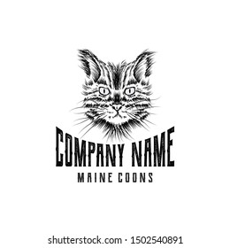 Cat pictures for animal care logos