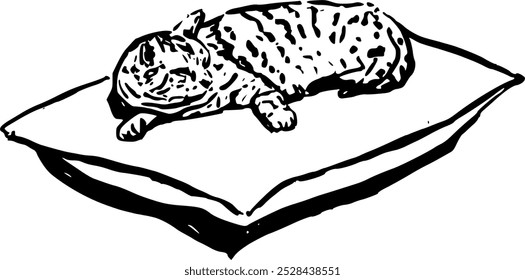 Gato e travesseiros. Objeto interior na ilustração de vetor de estilo doodle desenhado à mão