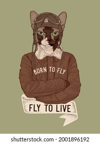 A cat pilot in a vintage style, vector illustration