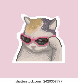 Cat with pink glasses, pixel art meme