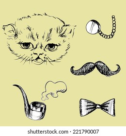 Cat and pipe, bow tie, glasses, mustache.vector