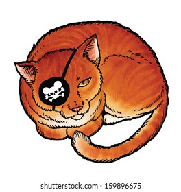 Cat in a pirate eye patch with a picture mouse vector