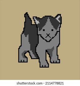 Cat with pixel art. friendly domestic pet. Vector illustration. 