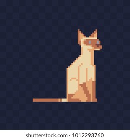 Cat. Pixel art. Pet icon. Siamese cat. Stickers and embroidery design. Isolated vector illustration. 