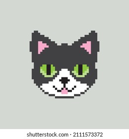 Cat Pixel Face Design Vector 