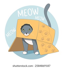 Cat play with box. Funny and cozy vector illustration.