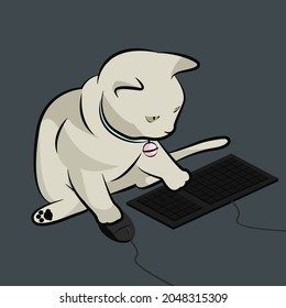 cat play computer with serious
 face
