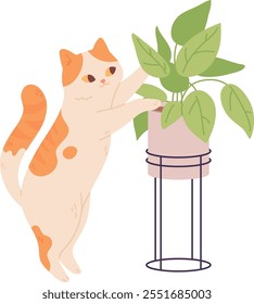 Cat play with houseplant. Naughty pet game icon isolated on white background