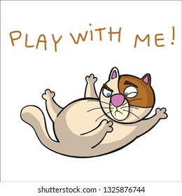 cat play love