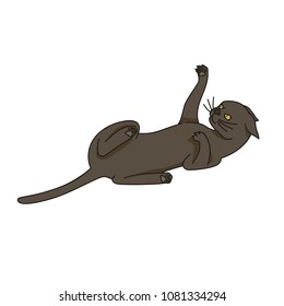 Cat in playful pose. Vector illustration
